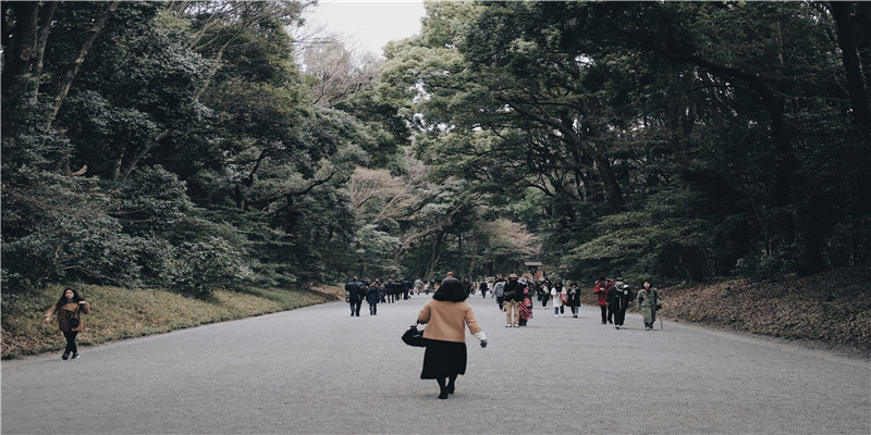 掌心有痣的女人好吗(女生手掌心)