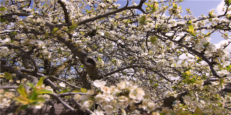门对门的风水化解方法(正确的卧室风水图)
