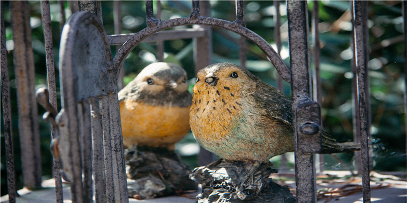 梦见自家院子大门被风刮倒了是啥意思(刮倒是什么意思)