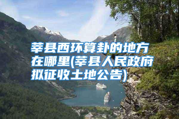 莘县西环算卦的地方在哪里(莘县人民政府拟征收土地公告)