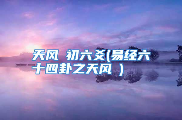 天风姤初六爻(易经六十四卦之天风姤)