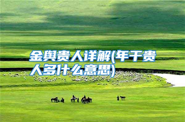 金舆贵人详解(年干贵人多什么意思)