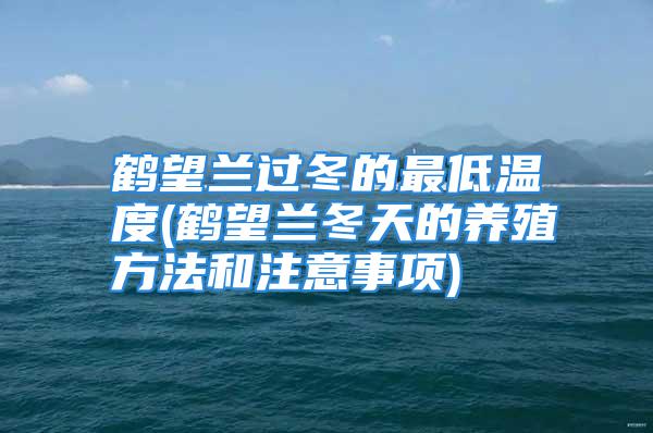 鹤望兰过冬的最低温度(鹤望兰冬天的养殖方法和注意事项)