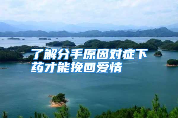 了解分手原因对症下药才能挽回爱情