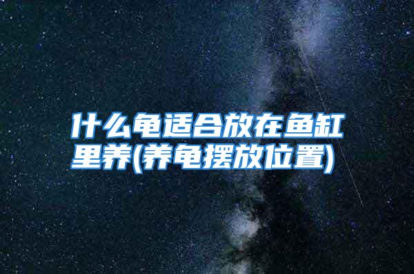 什么龟适合放在鱼缸里养(养龟摆放位置)