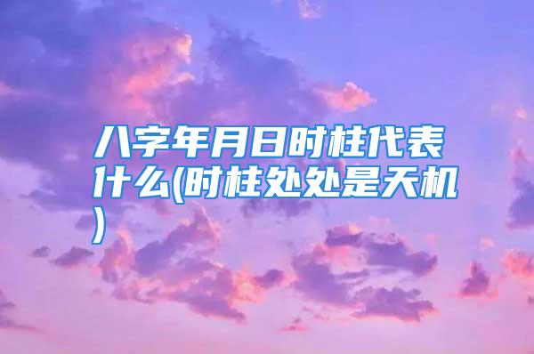 八字年月日时柱代表什么(时柱处处是天机)