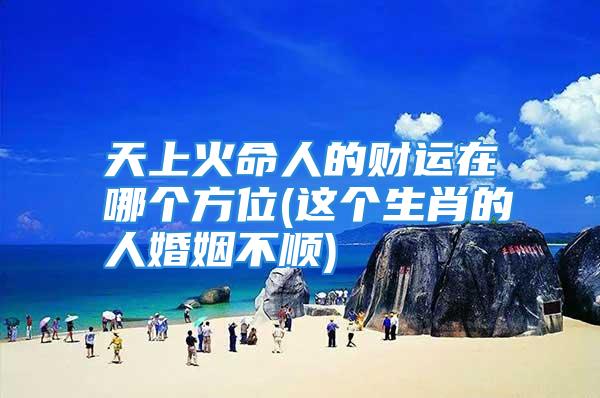 天上火命人的财运在哪个方位(这个生肖的人婚姻不顺)