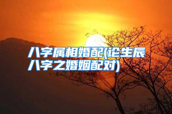 八字属相婚配(论生辰八字之婚姻配对)