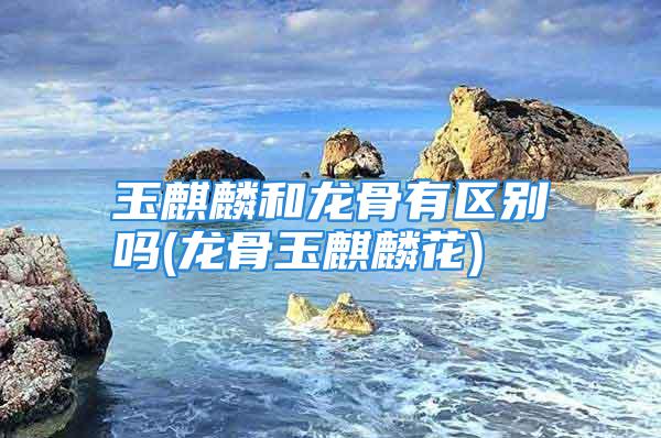 玉麒麟和龙骨有区别吗(龙骨玉麒麟花)