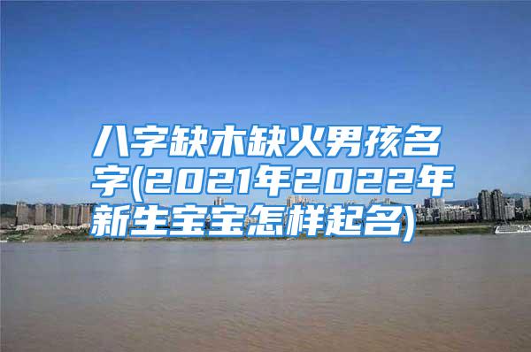 八字缺木缺火男孩名字(2021年2022年新生宝宝怎样起名)