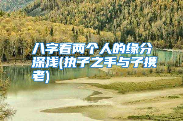 八字看两个人的缘分深浅(执子之手与子携老)