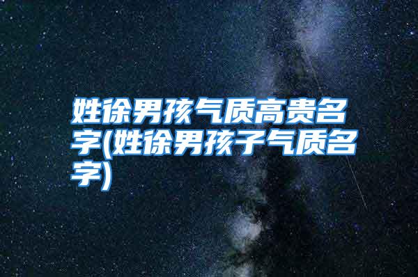 姓徐男孩气质高贵名字(姓徐男孩子气质名字)