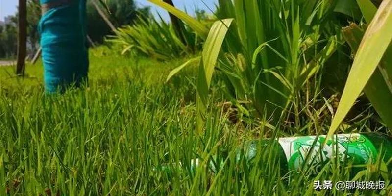 聊城瞎妮算卦具体位置(聊城夏景正美)