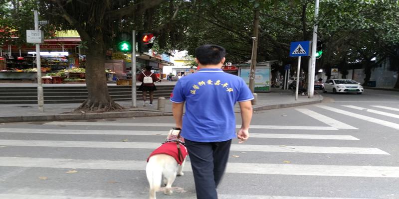 聊城算卦最灵的是哪里(盲人调音师幺传锡)