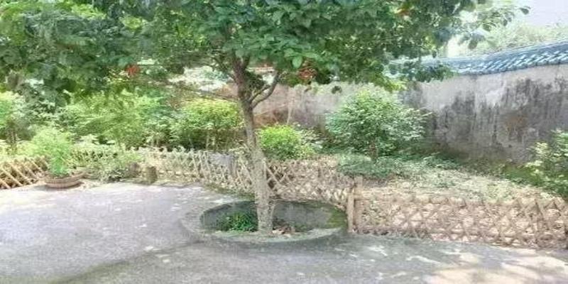 背里神婆为什么算卦准(为什么有时候算命会准得吓人)