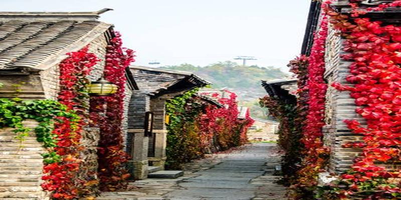 胜芳东桥算卦准(盘点河北的十大“江南古村镇”)