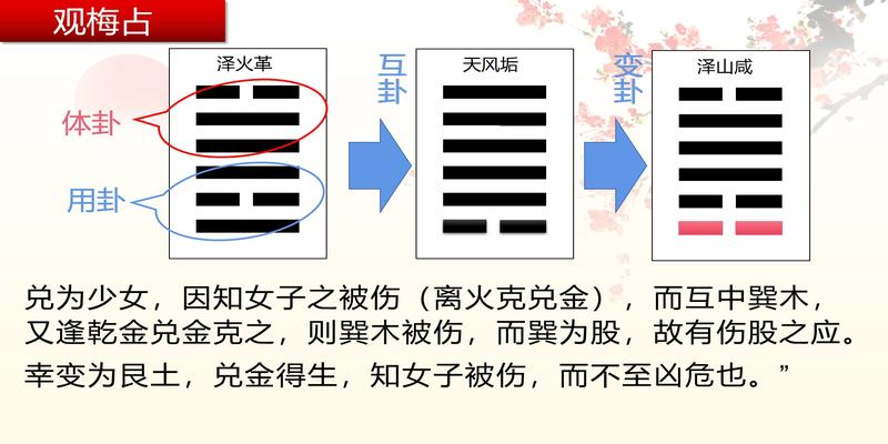 苏国庆梅花易数(梅花易数之“观梅占”卦例)