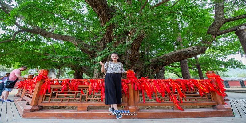 莒县算卦的哪里准(飘来的神山上有座古寺)