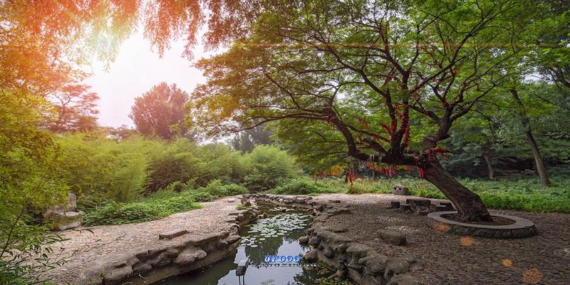 莒县算卦的哪里准(飘来的神山上有座古寺)