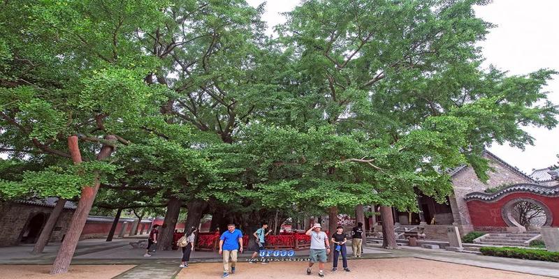 莒县算卦的哪里准(飘来的神山上有座古寺)