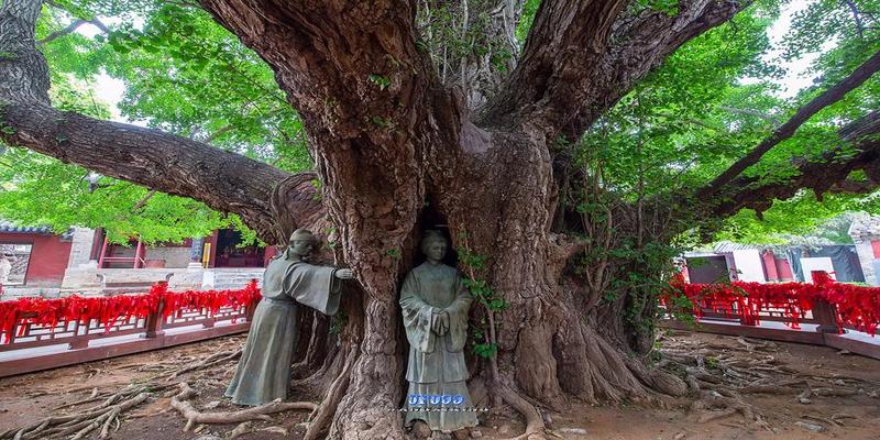 莒县算卦的哪里准(飘来的神山上有座古寺)