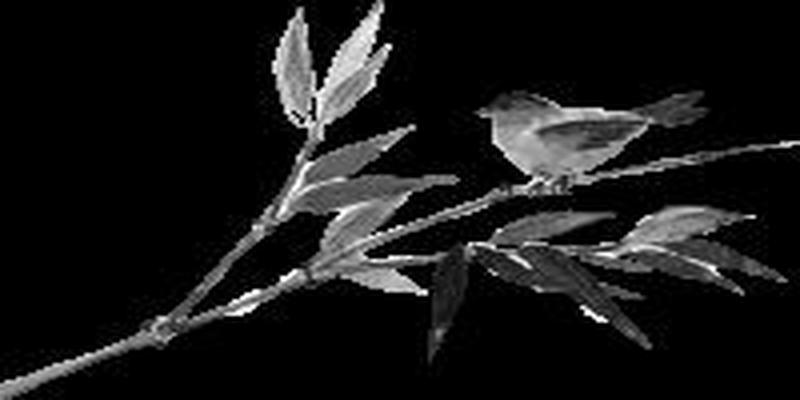 许昌鄢陵算卦非常准的地方(开卷丨一带江山如画)