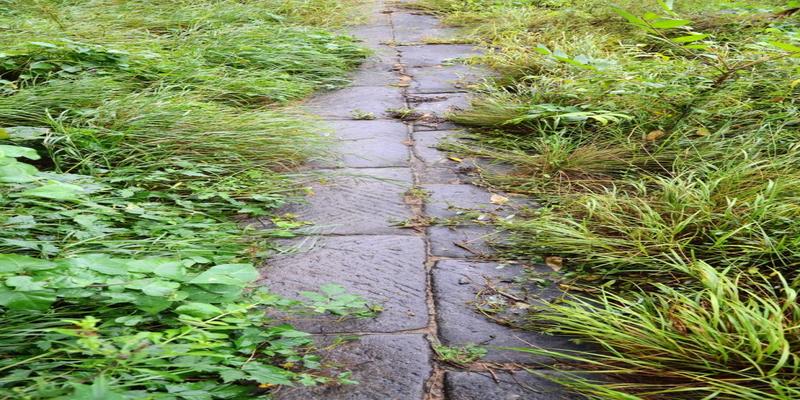 诸城扳倒井子村算卦的(晋南民居之乡宁石鼻)