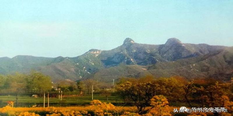 诸城王家庄子算卦(华州塬区五千年人文辉煌)