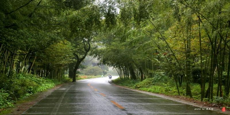 龙虎山正一观算卦(雨中寻梦龙虎山)