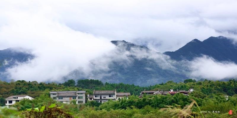 龙虎山正一观算卦(雨中寻梦龙虎山)