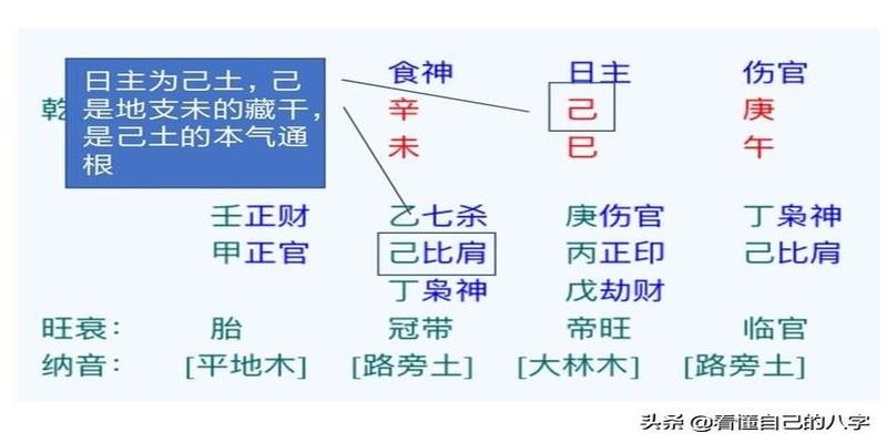 八字旺衰怎么看(如何分析八字之八字的旺衰)