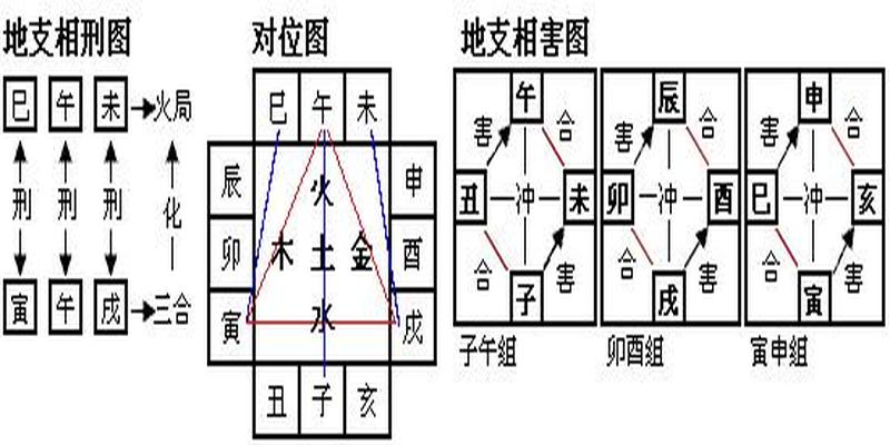 八字暗合有哪些(易学基础天干地支的合化)