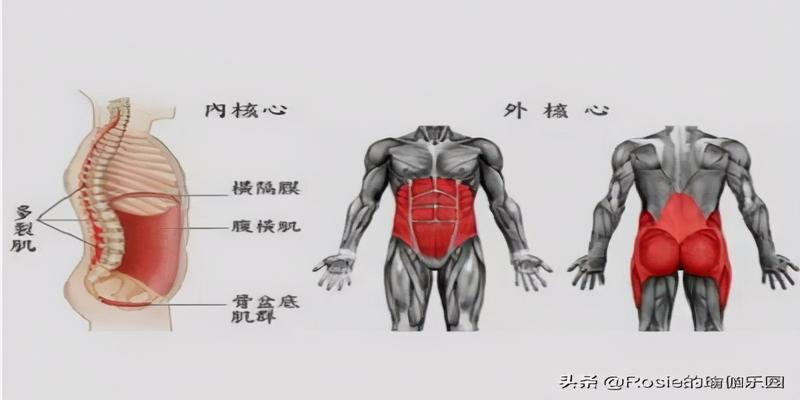 八字疗法腰疼对应图(腰痛肚子大别瞎练)