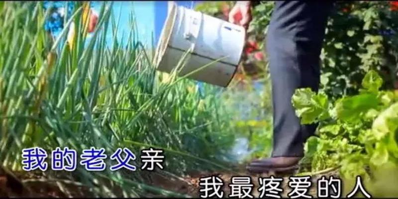 八字看生男女(为了确定胎宝宝的性别)