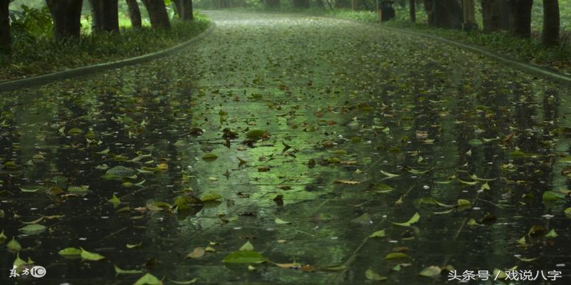 八字水火既济(细论八字命理中的壬癸水)