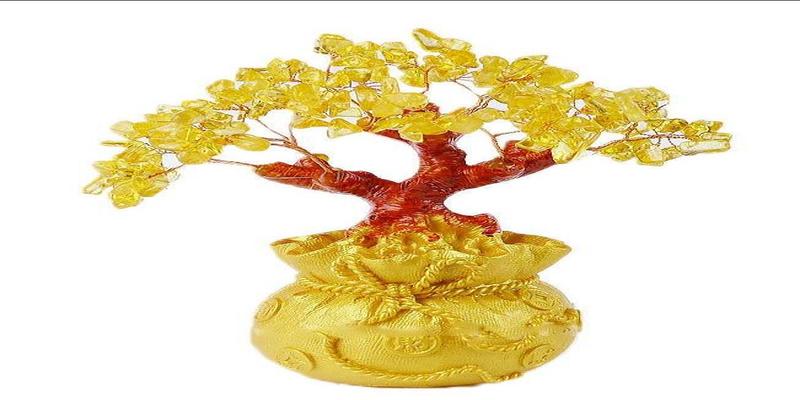 八字没有正财的女人(命理八字无财)