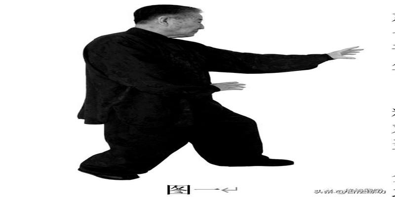 八字点窍绝技(形意拳三体式桩功精要)