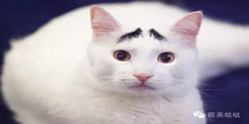 八字眉修眉毛教程(天生一副八字眉该如何逆袭成美妞)