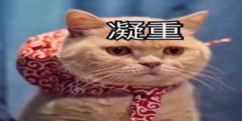 八字看对方喜不喜欢你(从命理的角度告诉你)