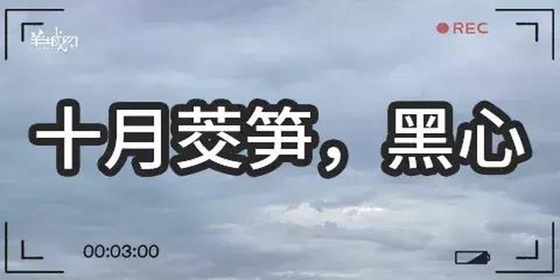 天气的俗语谚语(关于天气谚语或俗语)
