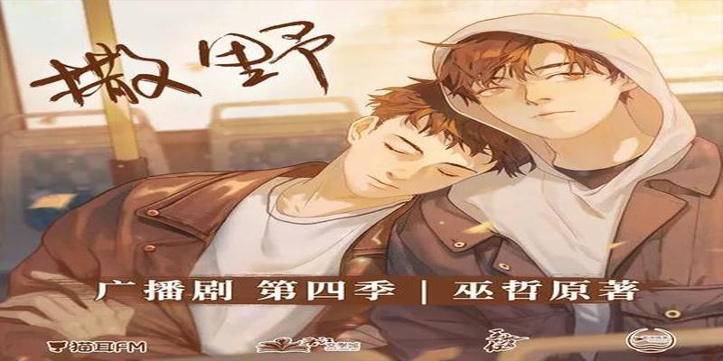 主役版是什么(主役和协役什么意思)