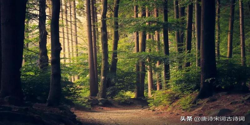 君子志向《论语》翻译(君子志向《论语》)