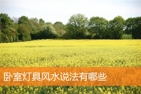 卧室灯具风水说法有哪些(主卧室灯具选择风水)