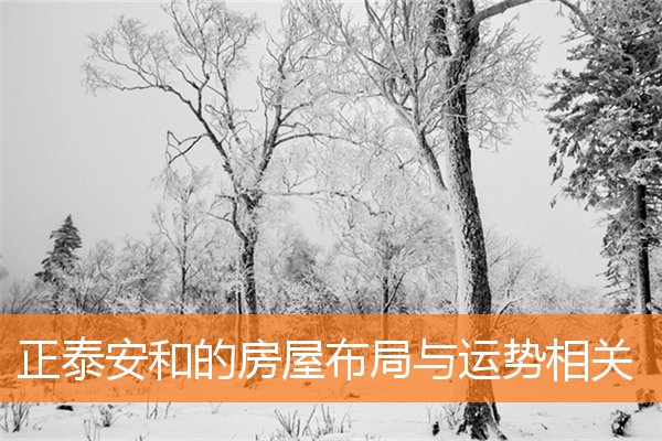 正泰安和的房屋布局与运势相关(泰安哪些小区风水不好)