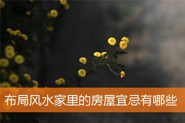布局摆放与家宅(家宅风水学入门图解)