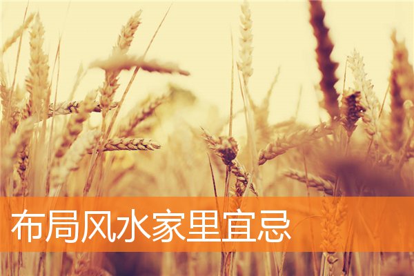布局摆放与家宅(家宅风水学入门图解)