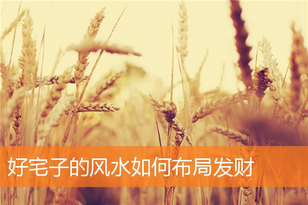 好宅子的风水如何布局发财(宅子风水大全)