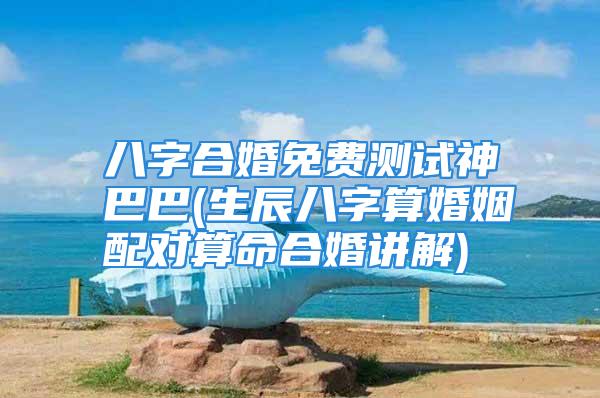 八字合婚免费测试神巴巴(生辰八字算婚姻配对算命合婚讲解)