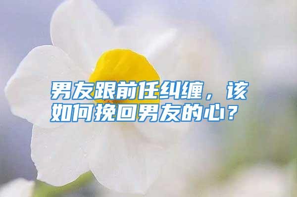 男友跟前任纠缠，该如何挽回男友的心？