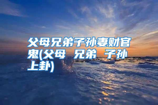 父母兄弟子孙妻财官鬼(父母 兄弟 子孙 上卦)